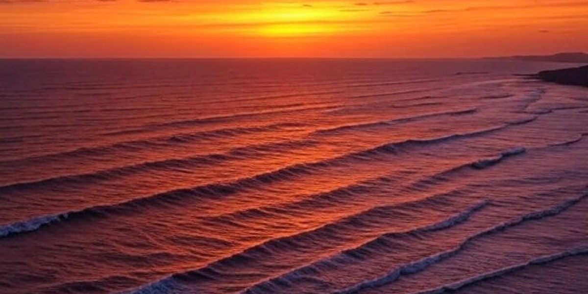 184c4c2d-8dc0-4e60-b9d3-2752fbfd5608