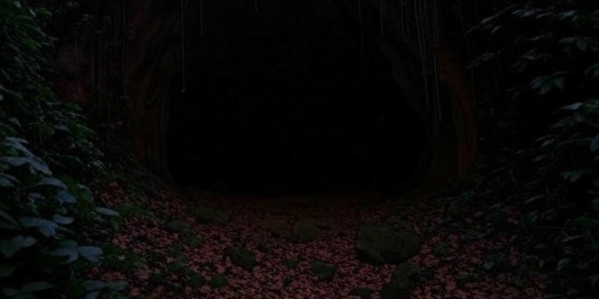 5d0f6dad-7fa2-447d-90b0-b3d8e5a75003