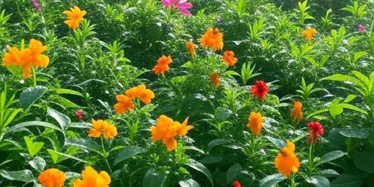 81c15759-7078-49dd-a0bb-763eaf90a9ac