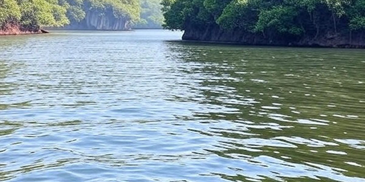 ea3f8787-7b2e-42da-95f4-12b7a2263fbc