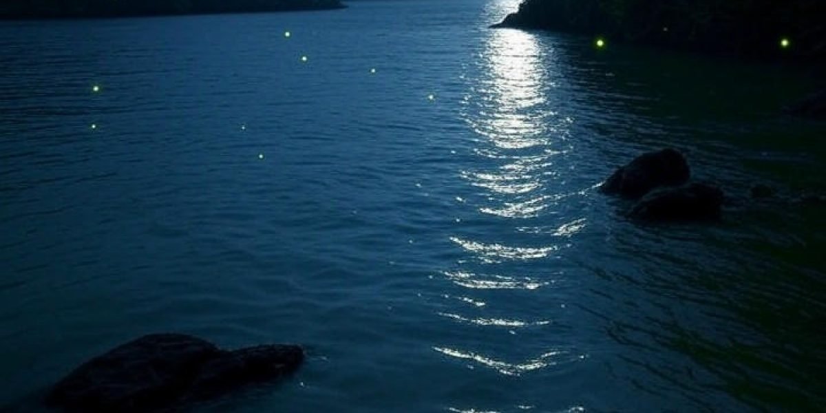 ef11a96f-1b19-4f70-9611-cd7fc73bf493